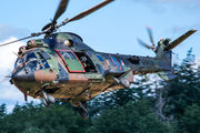 S-440 - Netherlands - Air Force Eurocopter AS532 Cougar aircraft