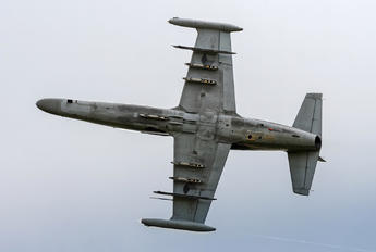 6065 - Czech - Air Force Aero L-159A  Alca