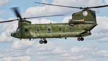 D-667 - Netherlands - Air Force Boeing CH-47D Chinook aircraft