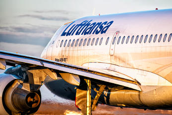 D-AILA - Lufthansa Airbus A319