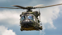 78+13 - Germany - Army NH Industries NH-90 TTH aircraft