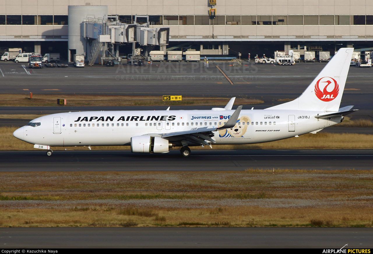 JAL - Japan Airlines JA318J aircraft at Tokyo - Haneda Intl