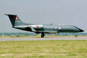 Denmark - Air Force F-313 image