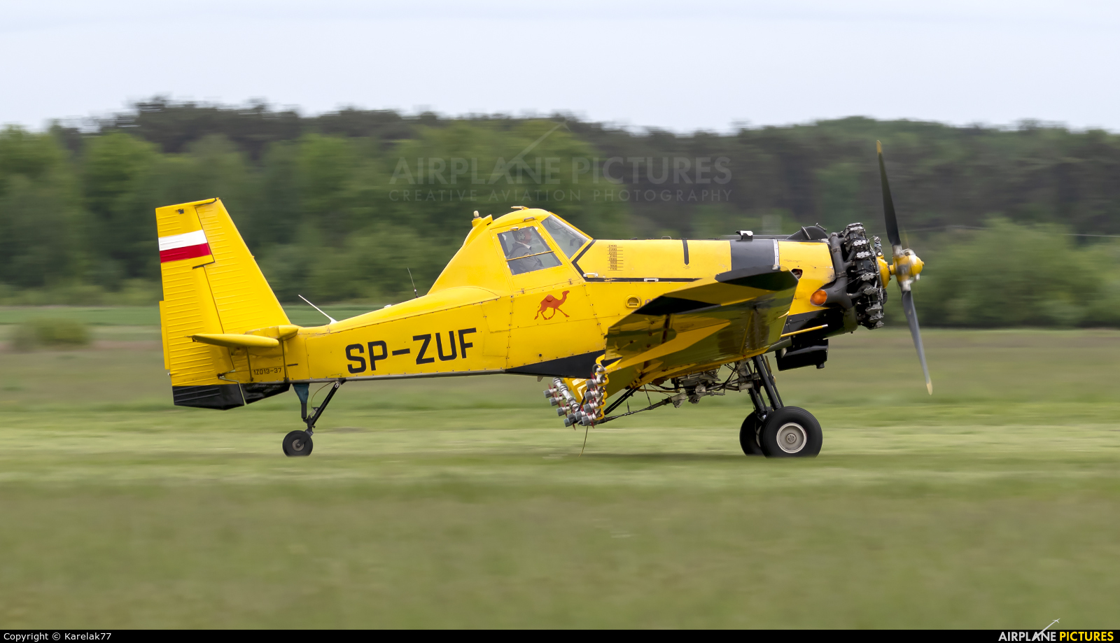 ZUA Mielec SP-ZUF aircraft at Radom - Piastów