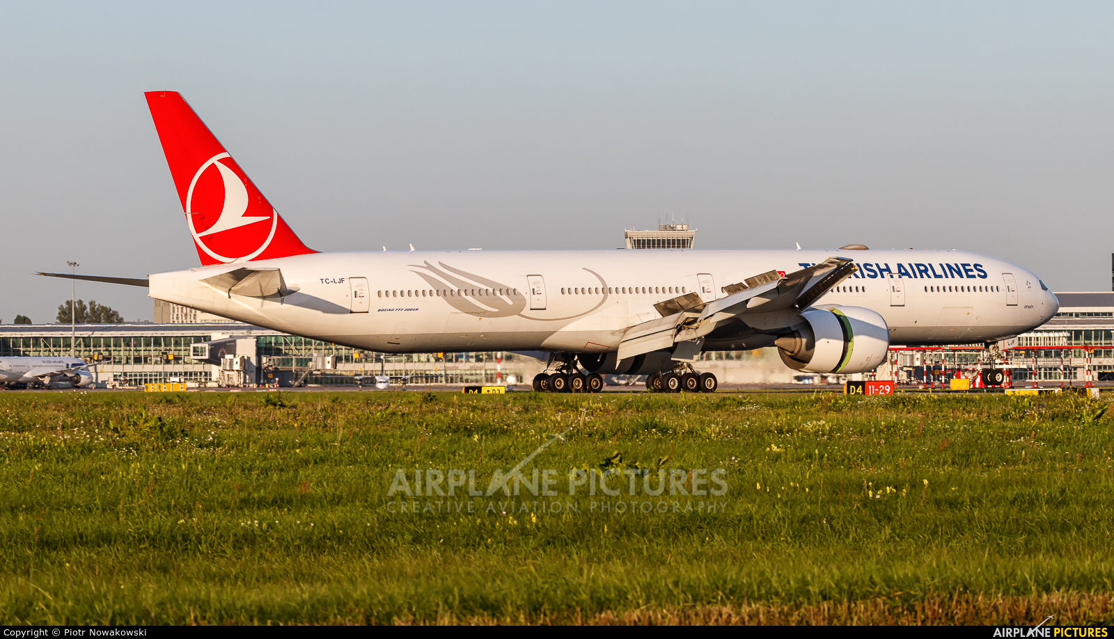 Turkish Airlines TC-LJF aircraft at Warsaw - Frederic Chopin