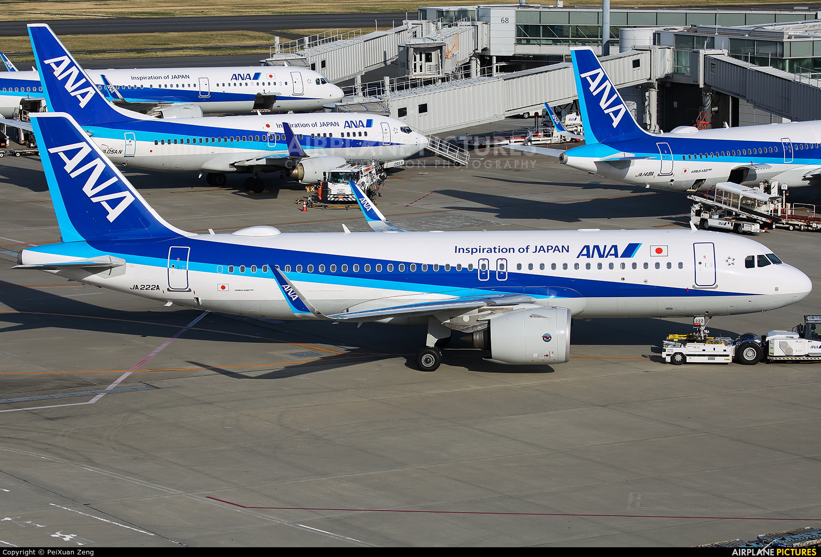 ANA - All Nippon Airways JA222A aircraft at Tokyo - Haneda Intl