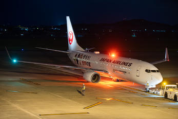 JA337J - JAL - Japan Airlines Boeing 737-800