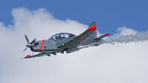 036 - Poland - Air Force "Orlik Acrobatic Group" PZL 130 Orlik TC-1 / 2 aircraft
