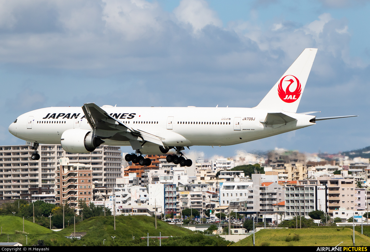 JAL - Japan Airlines JA709J aircraft at Naha