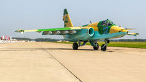 02 - Turkmenistan - Air Force Sukhoi Su-25SM3 aircraft