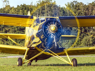 SP-ANI - Aeroklub Gdański Antonov An-2