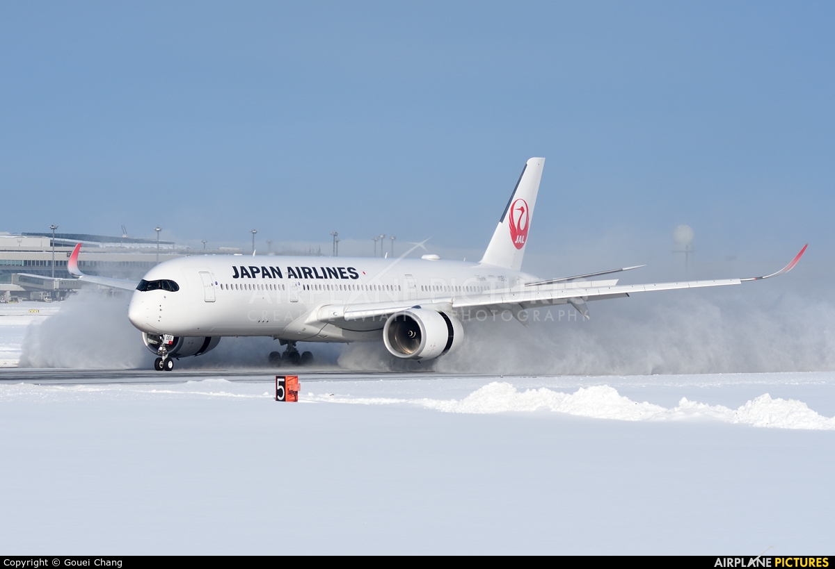 JAL - Japan Airlines JA06XJ aircraft at New Chitose