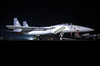 203 - Saudi Arabia - Air Force McDonnell Douglas F-15C Eagle