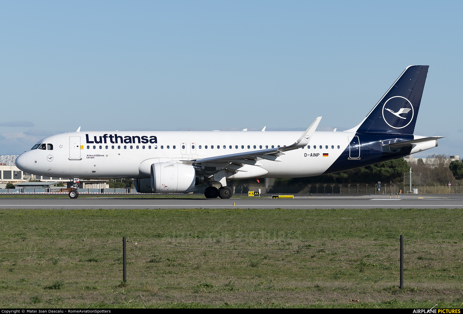 Lufthansa D-AINP aircraft at Rome - Fiumicino