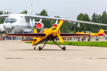 RA-01955 - Private Yakovlev Yak-54