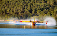 UD.13-21 - Spain - Air Force Canadair CL-215T aircraft