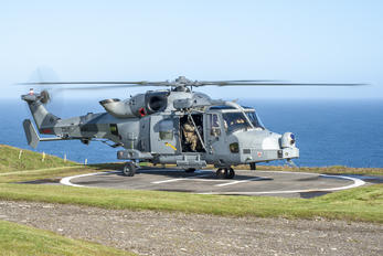 ZZ521 - Royal Navy: Royal Marines Agusta Westland AW159 Lynx Wildcat AH.1