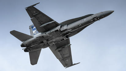 HN-421 - Finland - Air Force McDonnell Douglas F-18C Hornet