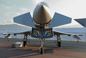 31+02 - Germany - Air Force Eurofighter Typhoon S aircraft