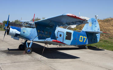 07 YELLOW - Ukraine - Navy Antonov An-2