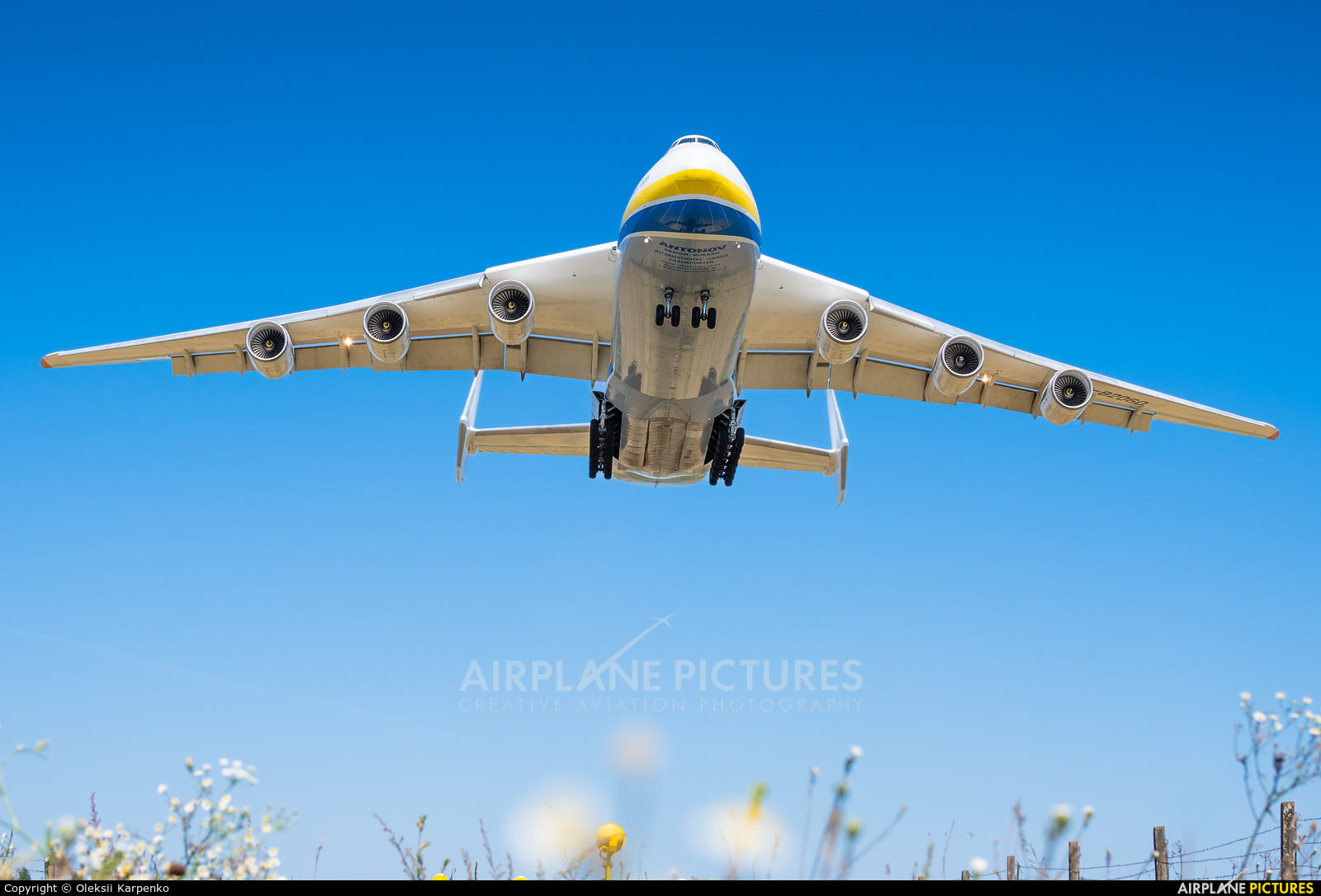 Antonov Airlines /  Design Bureau UR-82060 aircraft at Kyiv - Gostomel