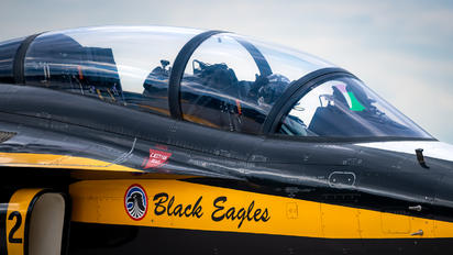 2 - Korea (South) - Air Force: Black Eagles Korean Aerospace T-50 Golden Eagle