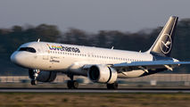 Lufthansa D-AINY image