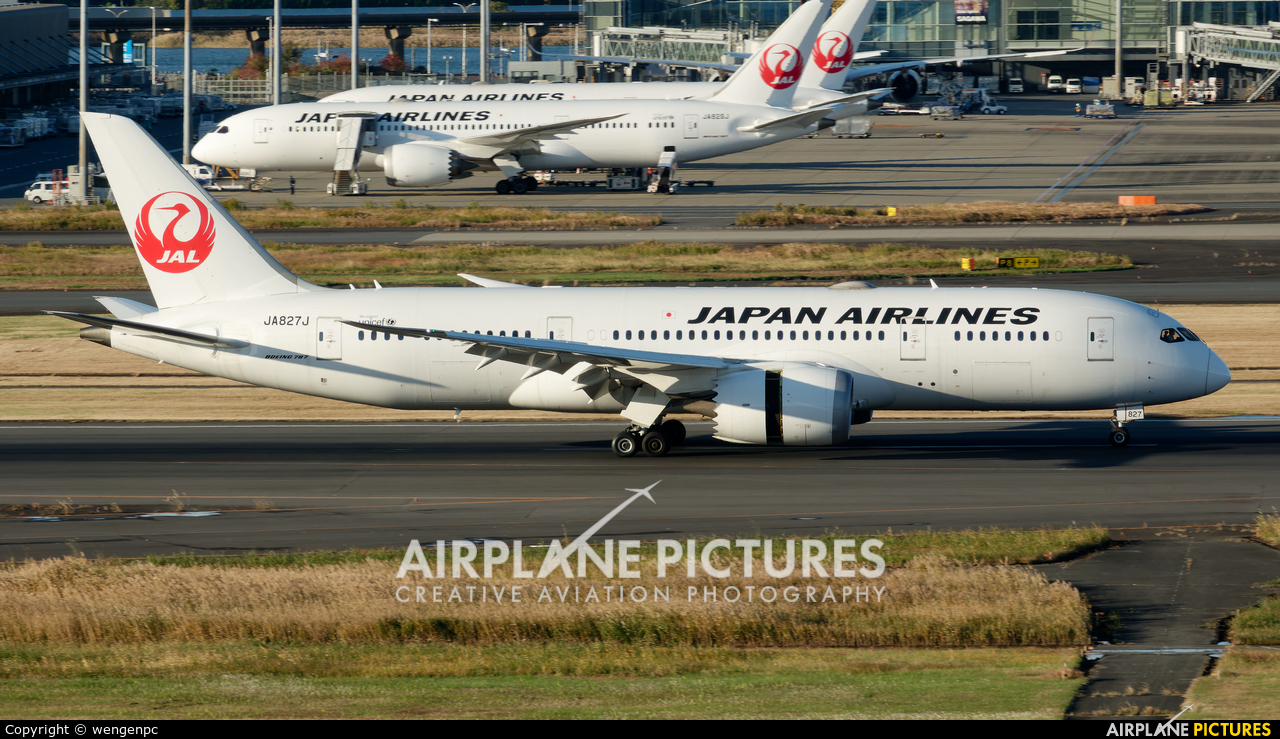JAL - Japan Airlines JA827J aircraft at Tokyo - Haneda Intl