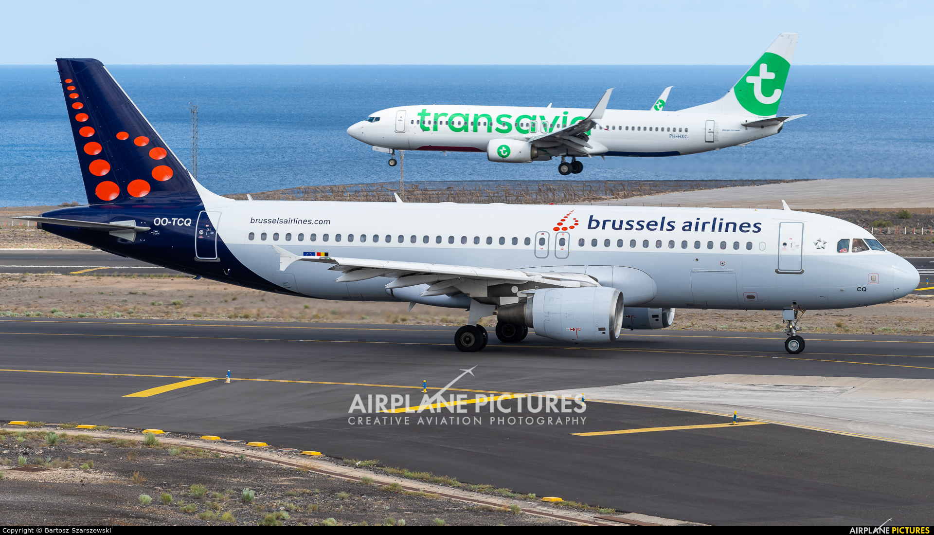 Brussels Airlines OO-TCQ aircraft at Tenerife Sur - Reina Sofia