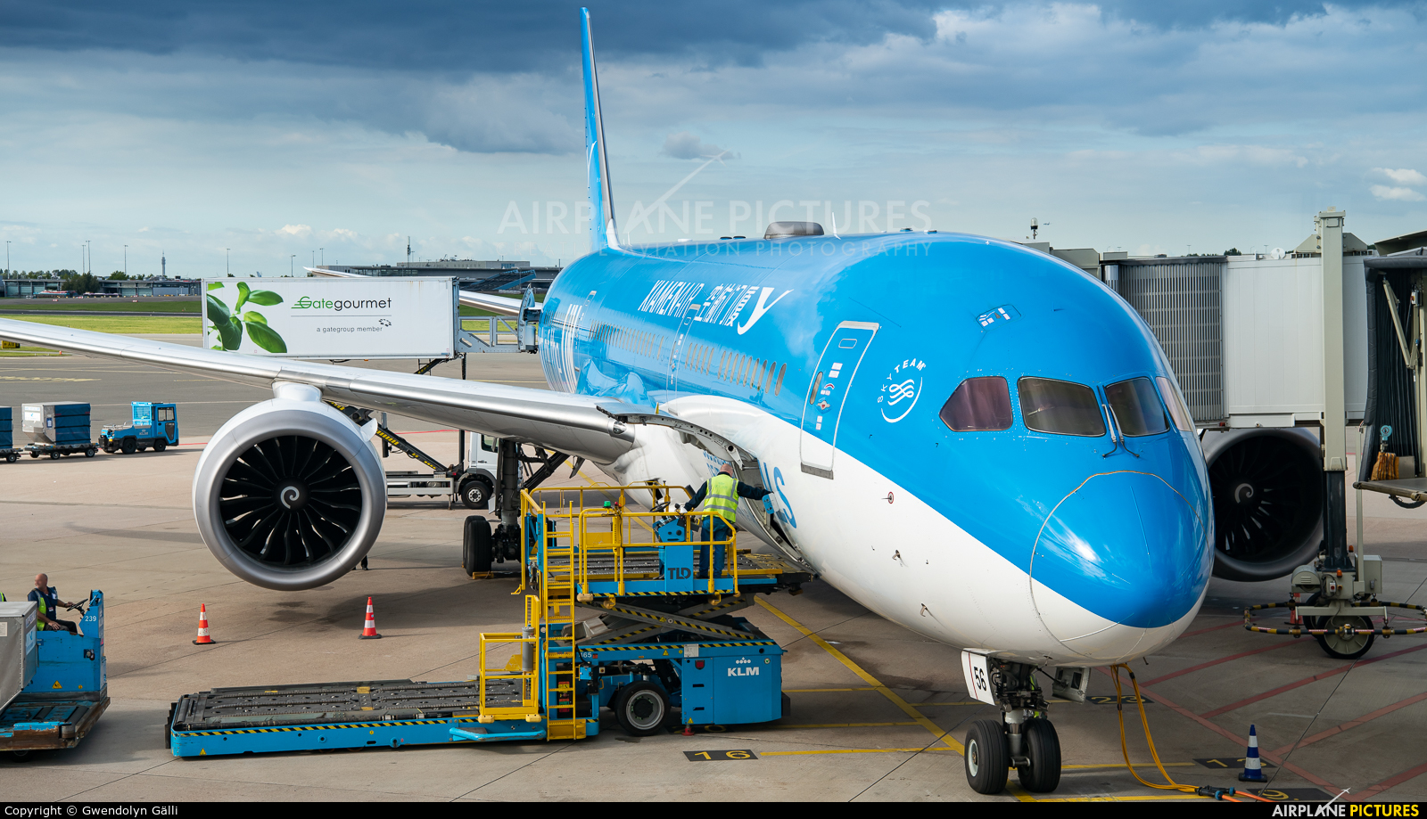 Xiamen Airlines B-1356 aircraft at Amsterdam - Schiphol