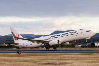 JA319J - JAL - Japan Airlines Boeing 737-800