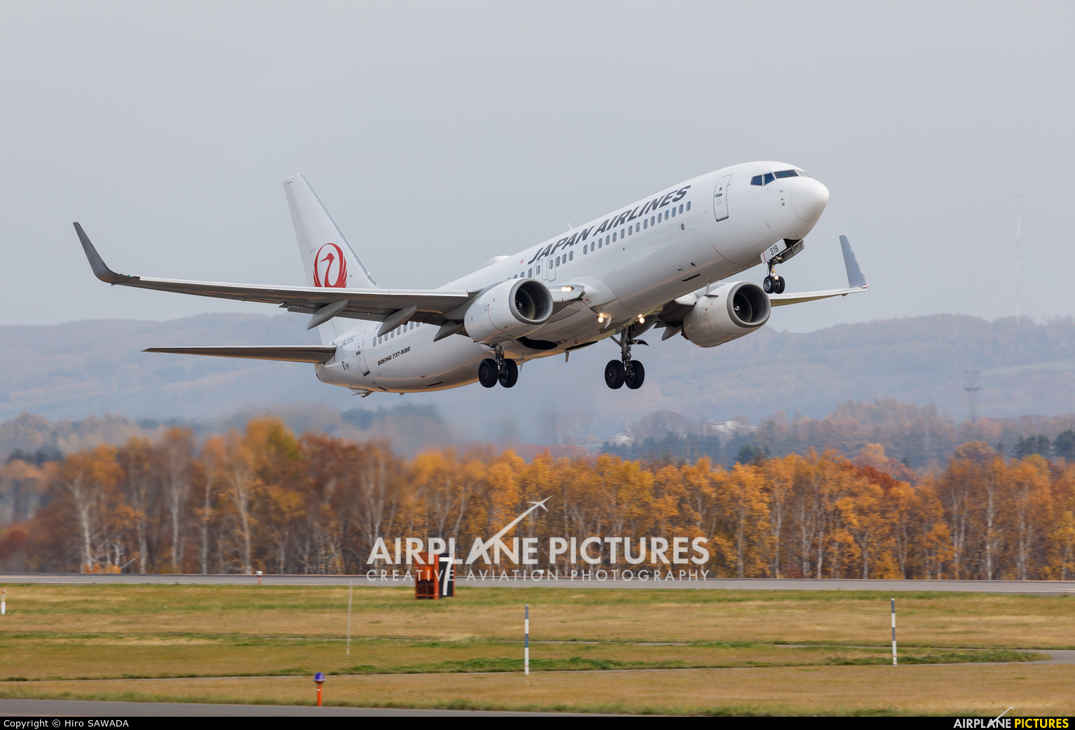 JAL - Japan Airlines JA319J aircraft at Memanbetsu