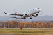 JA319J - JAL - Japan Airlines Boeing 737-800 aircraft