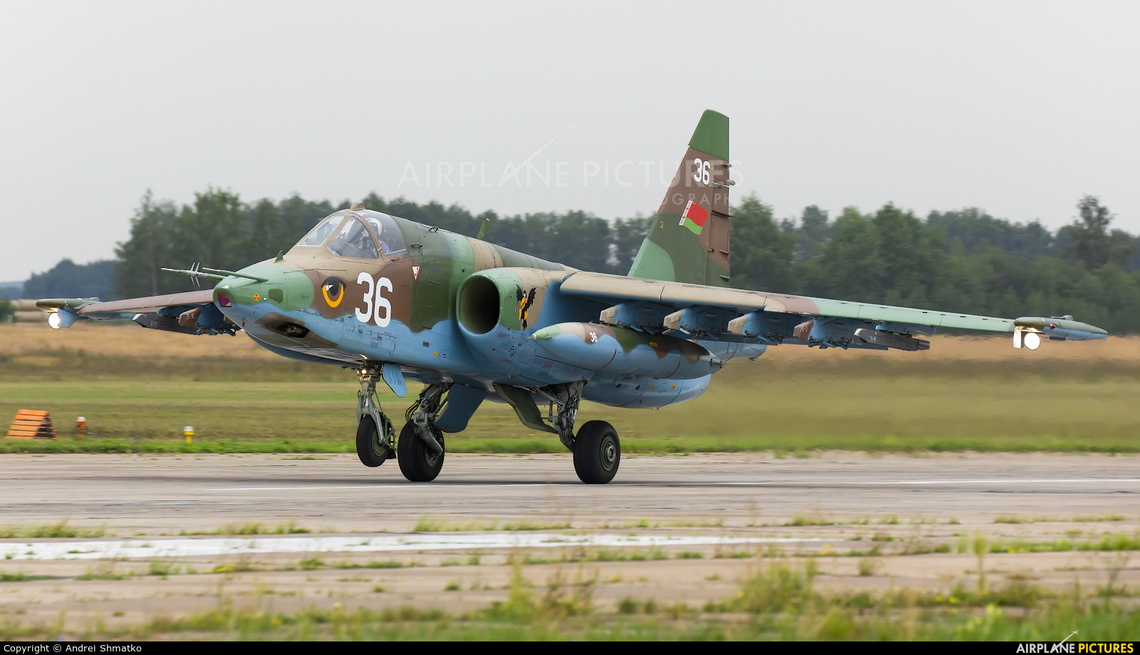 Belarus - Air Force 36 aircraft at Dyagilevo