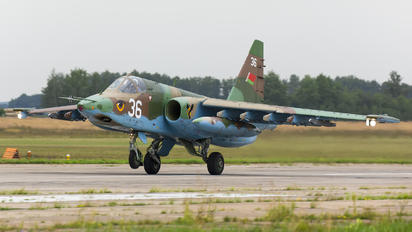 36 - Belarus - Air Force Sukhoi Su-25