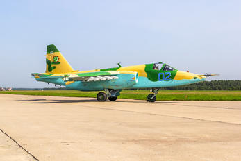 02 - Turkmenistan - Air Force Sukhoi Su-25SM3