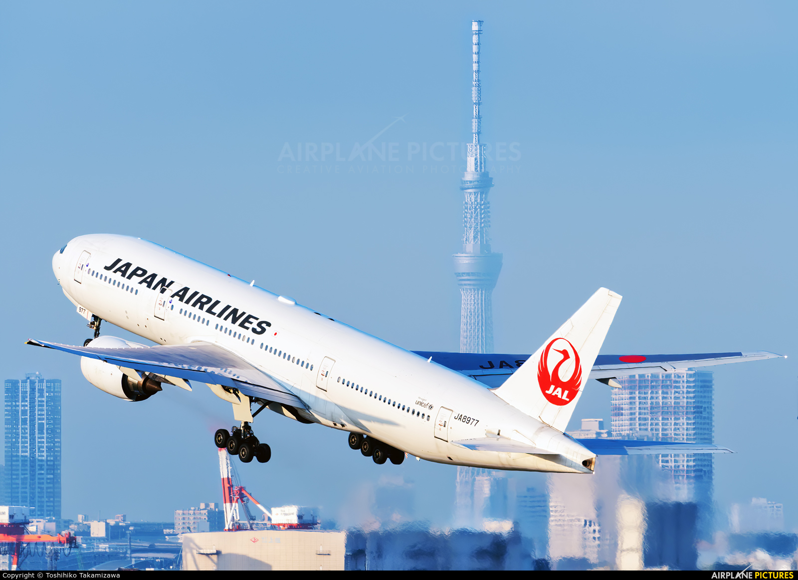 JAL - Japan Airlines JA8977 aircraft at Tokyo - Haneda Intl