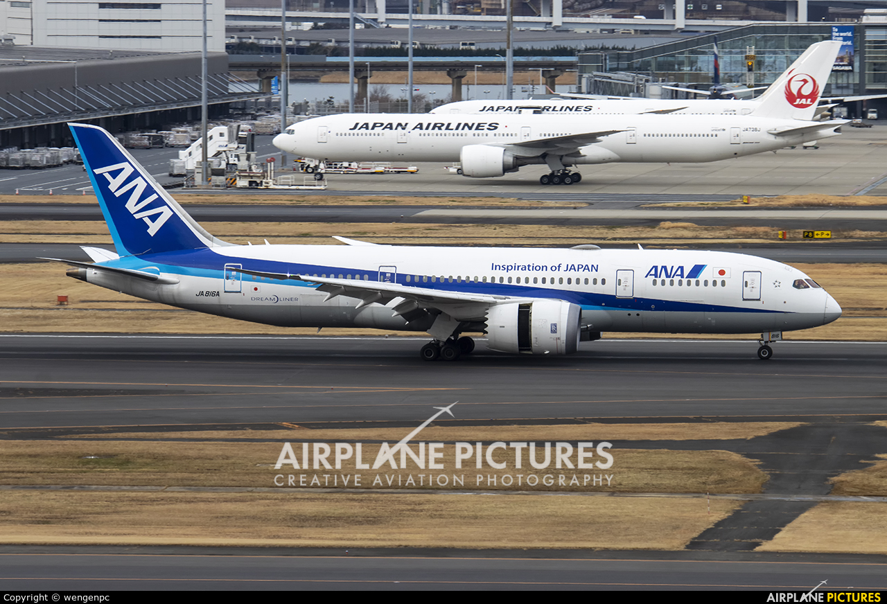 ANA - All Nippon Airways JA816A aircraft at Tokyo - Haneda Intl