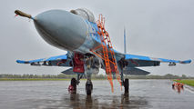 67 - Ukraine - Air Force Sukhoi Su-27 aircraft
