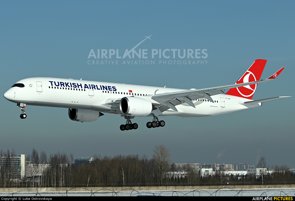 Turkish Airlines TC-LGF aircraft at St. Petersburg - Pulkovo