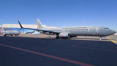 3528 - Mexico - Air Force Boeing 737-800