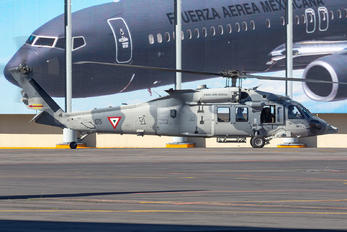 1075 - Mexico - Air Force Sikorsky UH-60M Black Hawk