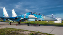 71 - Ukraine - Air Force Sukhoi Su-27UBM aircraft