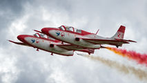 Poland - Air Force: White & Red Iskras 10 image