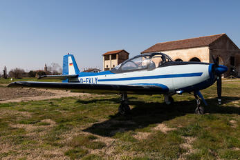 D-EKLY - Private Piaggio P.149 (all models)