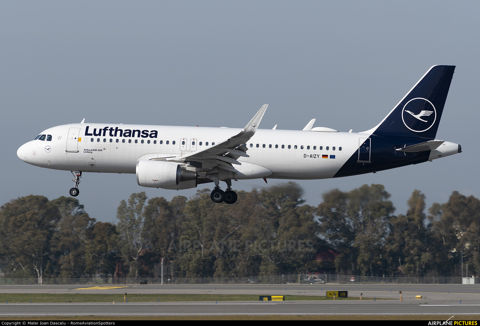 Lufthansa D-AIZY aircraft at Rome - Fiumicino