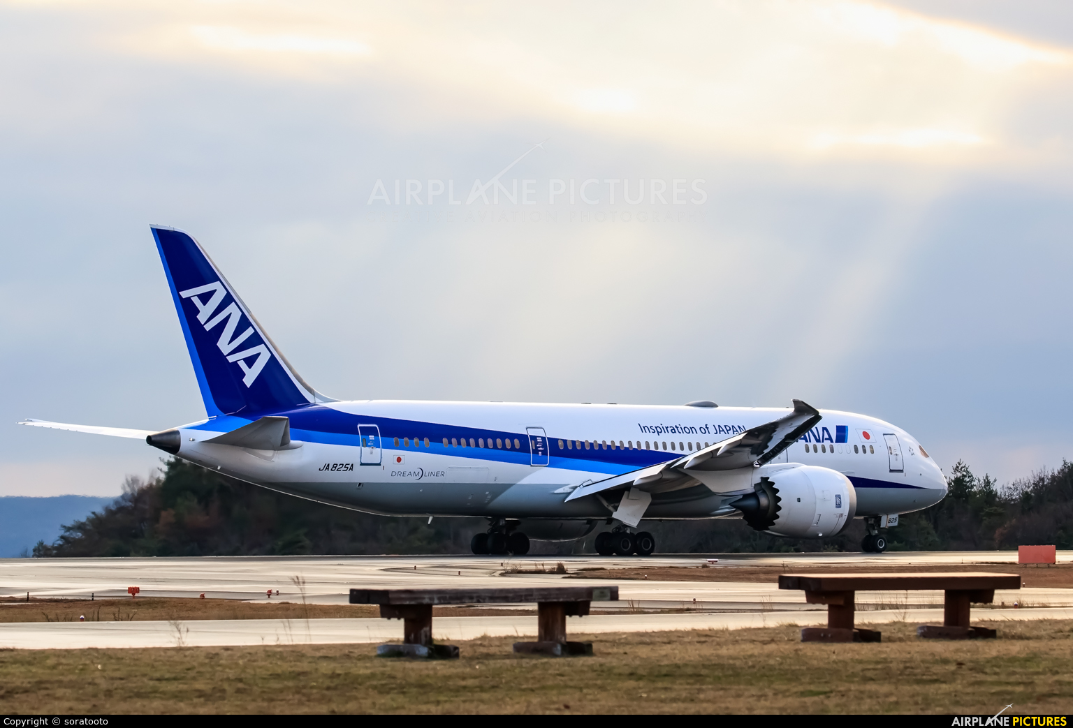 ANA - All Nippon Airways JA825A aircraft at Hiroshima