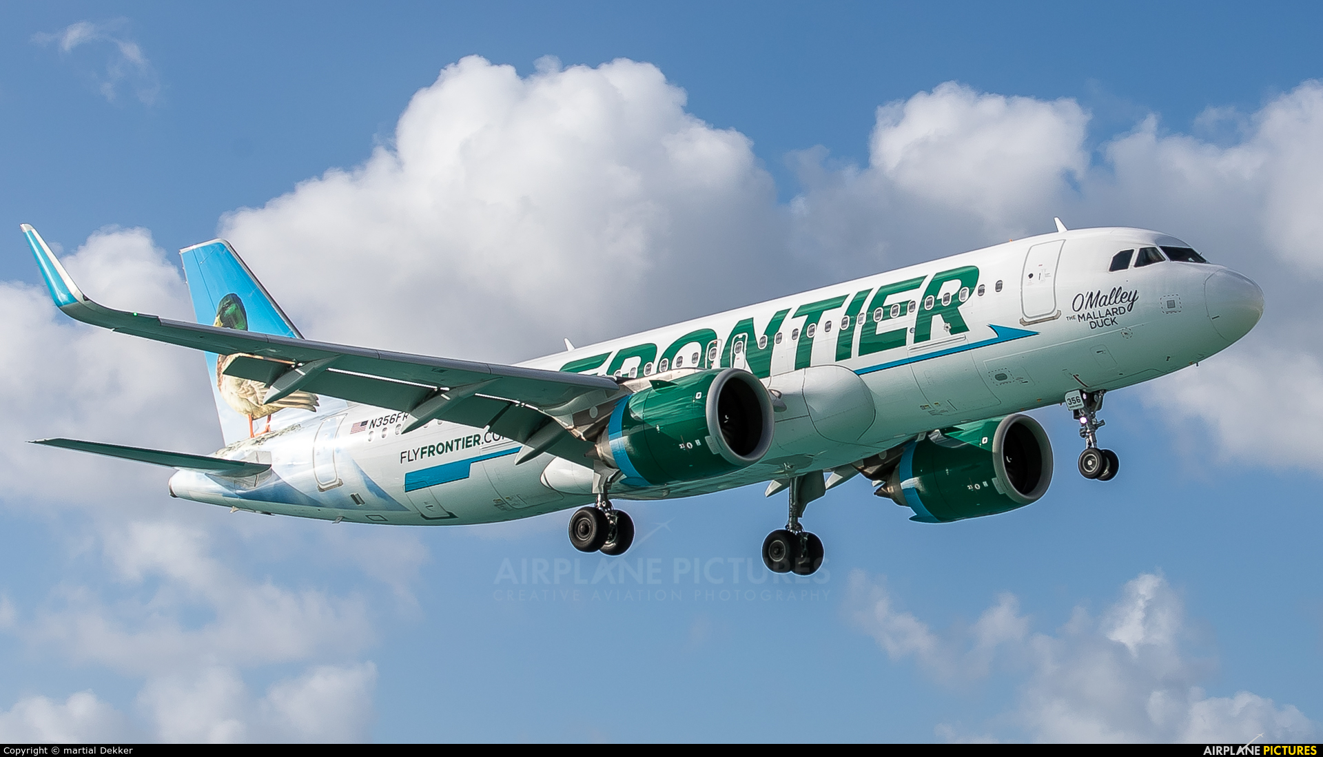 Frontier Airlines N356FR aircraft at Sint Maarten - Princess Juliana Intl