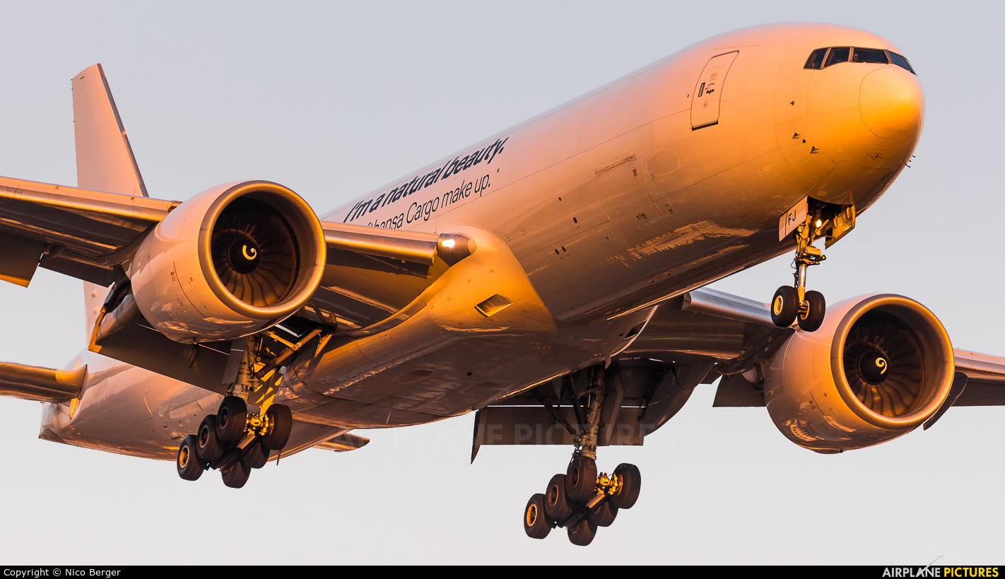 Lufthansa Cargo D-ALFJ aircraft at Frankfurt