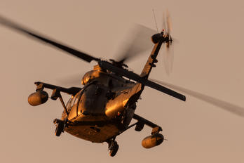 10-20311 - USA - Army Sikorsky UH-60M Black Hawk